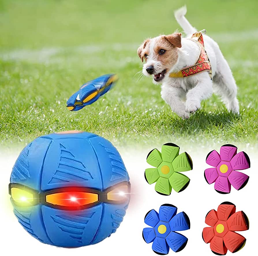 Ball Frisbee
