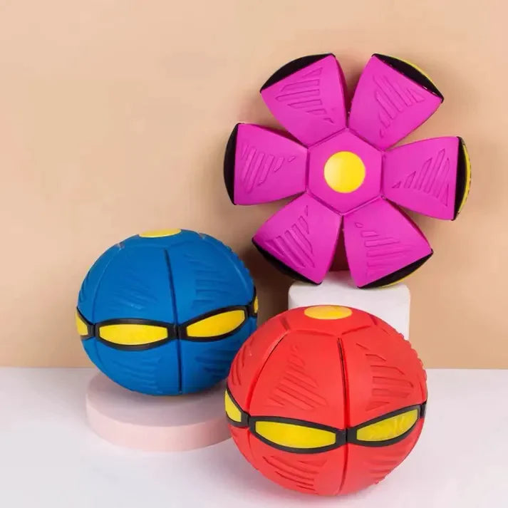 Ball Frisbee