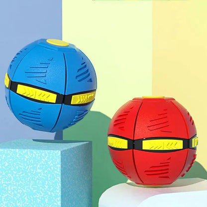 Ball Frisbee