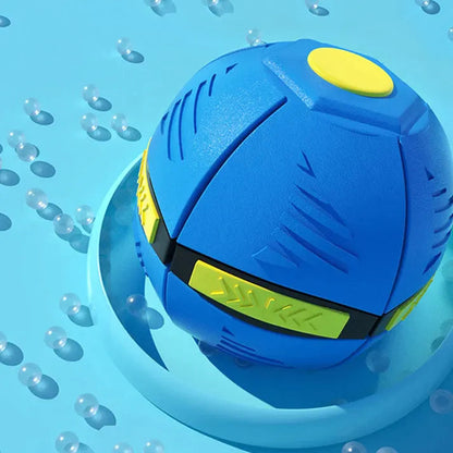 Ball Frisbee