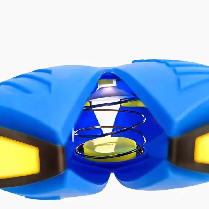 Ball Frisbee